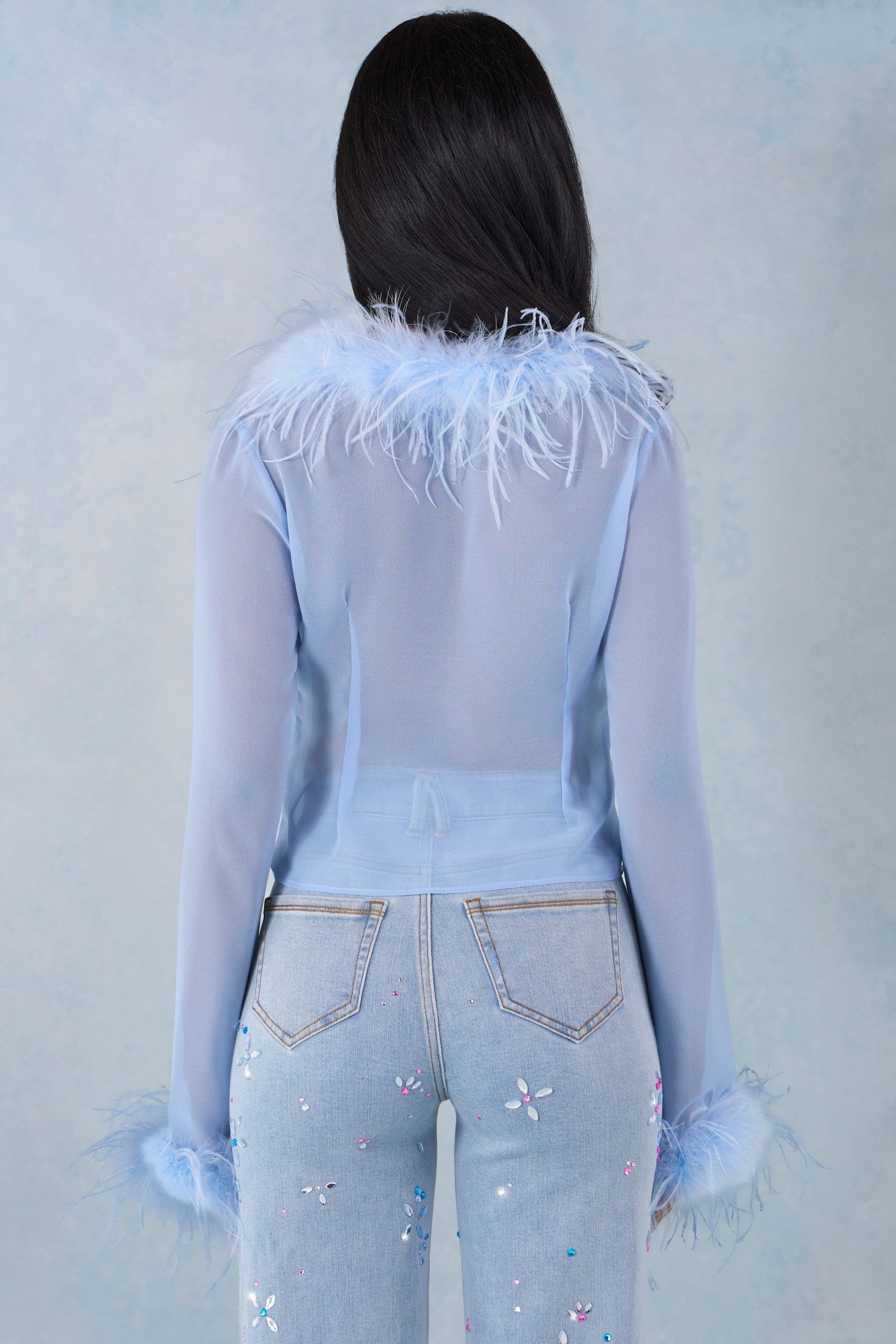 Feather Trim Sheer Top in Soft Blue